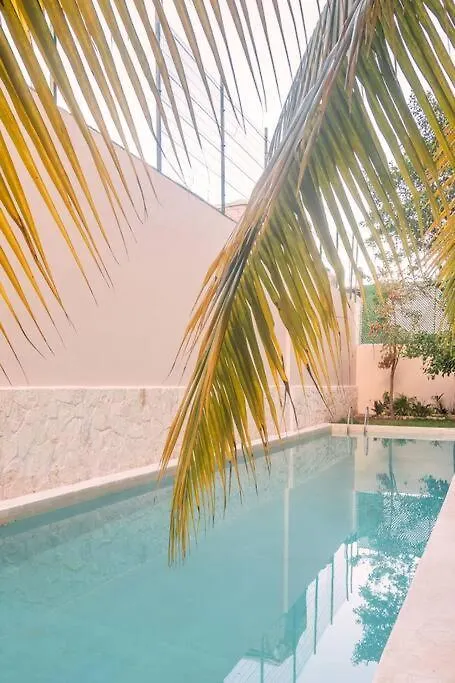 Apartment Brand New And Beautiful! Just Steps From The Beach Playa del Carmen